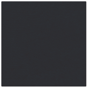 Serwetki flizelinowe gładkie - Serwetki flizelinowe gładkie AIRLAID "Basic", czarne / 40x40