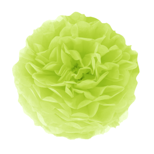 Pompony bibułowe - Pompon bibułowy, zielony / 25 cm