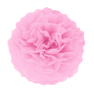 Pompony bibułowe - Pompon bibułowy, różowy / 25 cm